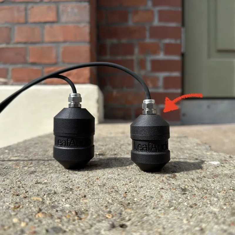 Leaf Audio-Leaf Audio - Geophone S 240316_1