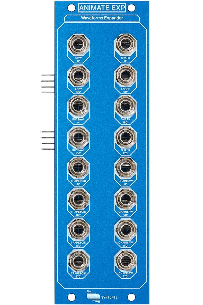 Syntonie-Syntonie - Animate EXP_230215_