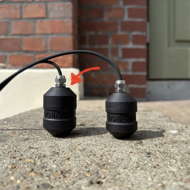 Leaf Audio-Leaf Audio - Geophone L 240317_1